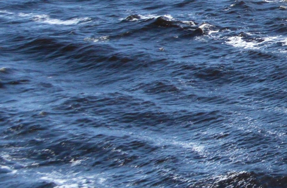 Северодвинец получил перелом позвоночника при нырянии в воду